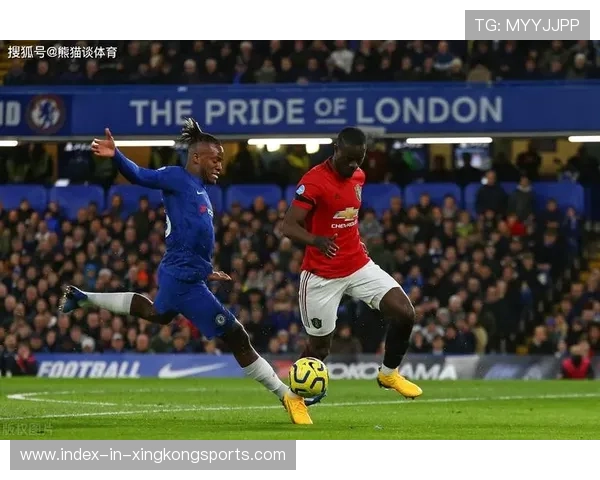 哈里森伤退带来球队变数：球队未来的艰难抉择