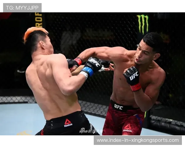 UFC角落策略与回合节奏训练——打造你不可战胜的战斗节奏 UFC角落策略与回合节奏训练——打造你不可战胜的战斗节奏