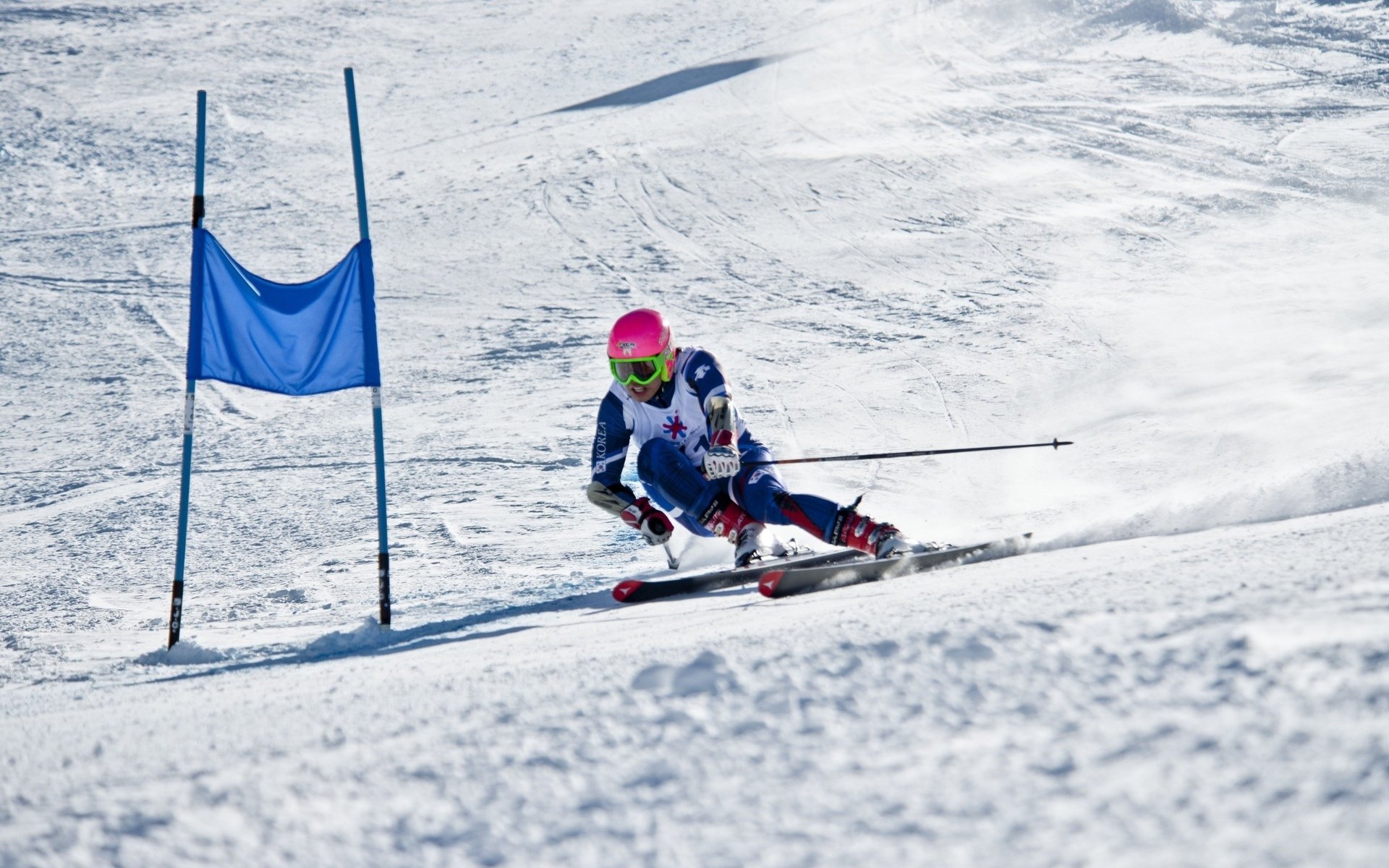 国际帆板青年营与高校合作开展实习项目，全国帆板锦标赛暨帆板冠军赛